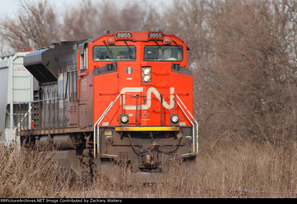 CN 8955